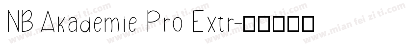 NB Akademie Pro Extr字体转换